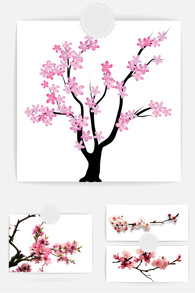 花朵花瓣装饰素材 花朵花瓣装饰素材