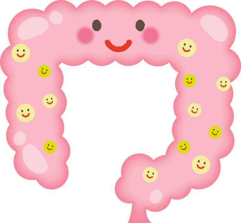 健康的结肠