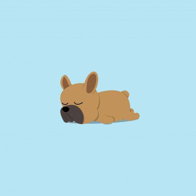 睡觉平的象设计的懒惰法国牛头犬小狗