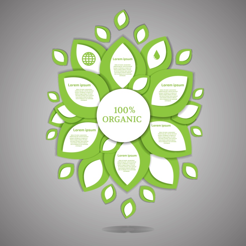 生态信息图模板324