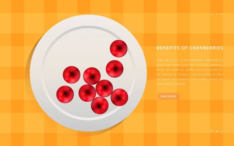 蔓越莓健康的水果插图