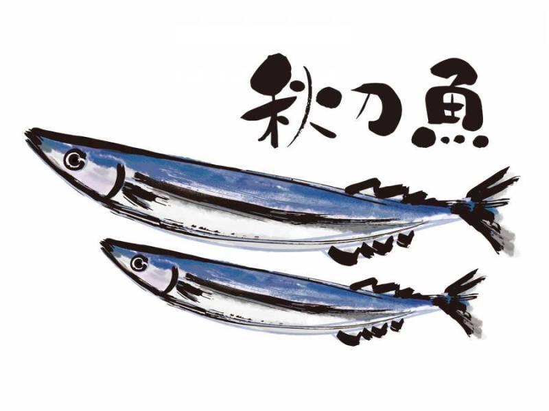 太平洋刀鱼