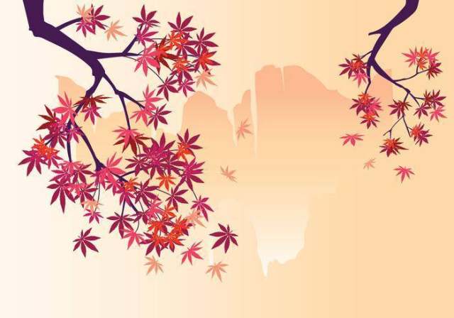 光滑的日本枫树植物瀑布背景和秋天的枫叶