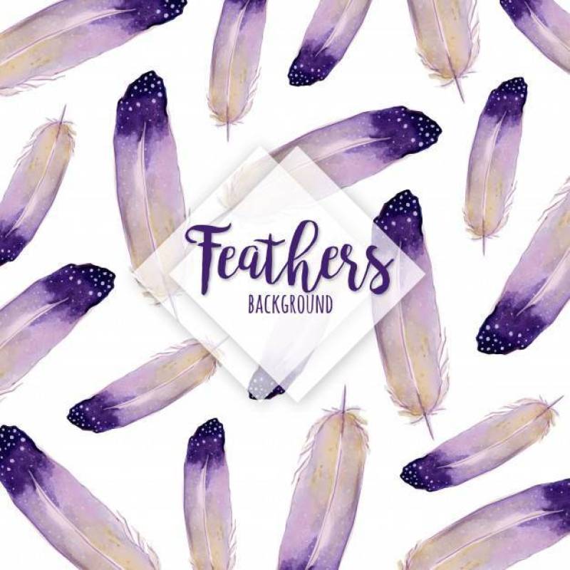 Beautiful Watercolor Feathers Background