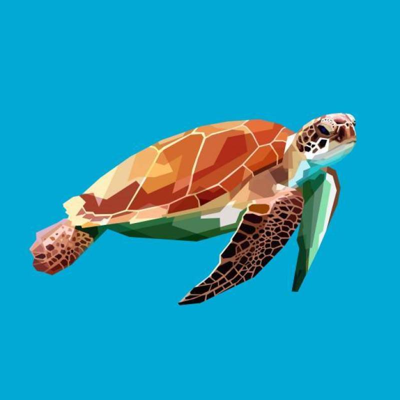 漂浮在水面下在蓝色背景中的乌龟