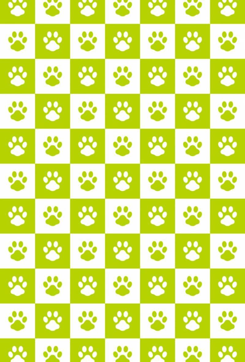 检查模式_狗鞋_绿色