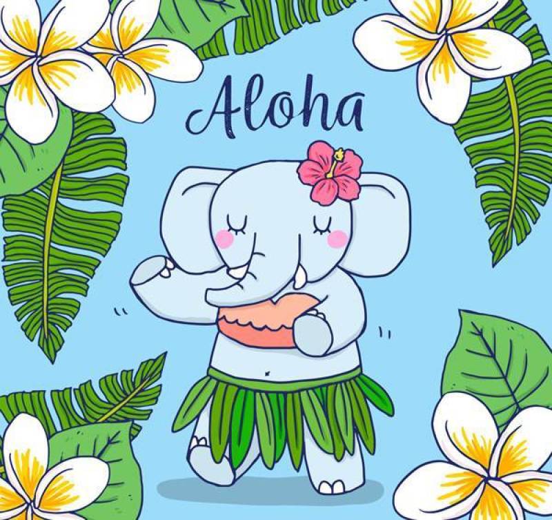 夏威夷跳舞的大象