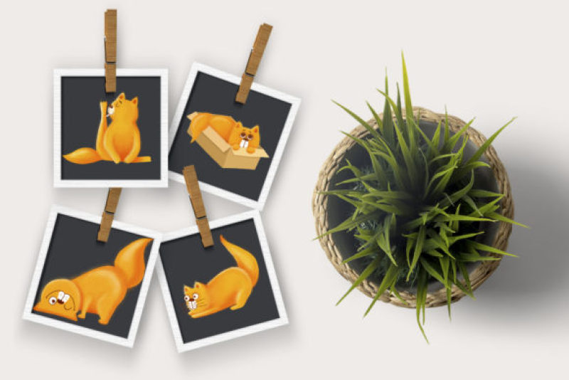 26款可爱欧美卡通动漫猫吃鱼儿童产品包装图案背景PNG免抠素材