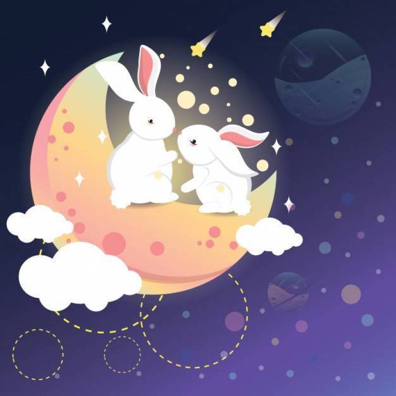 浪漫的兔子在月球上