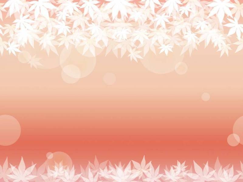 粉红色背景上的无缝枫叶背景。