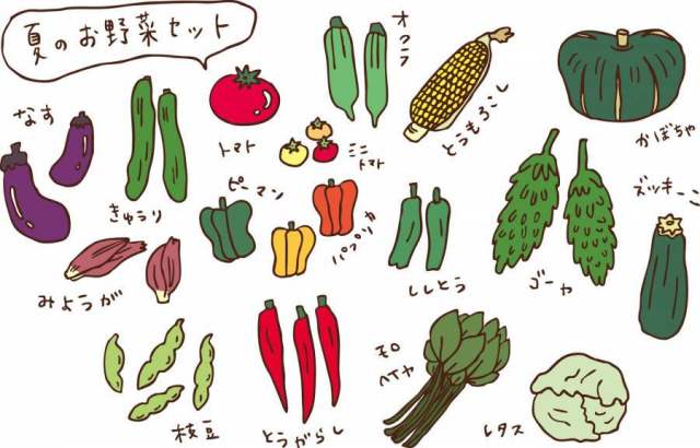 夏季蔬菜集的颜色