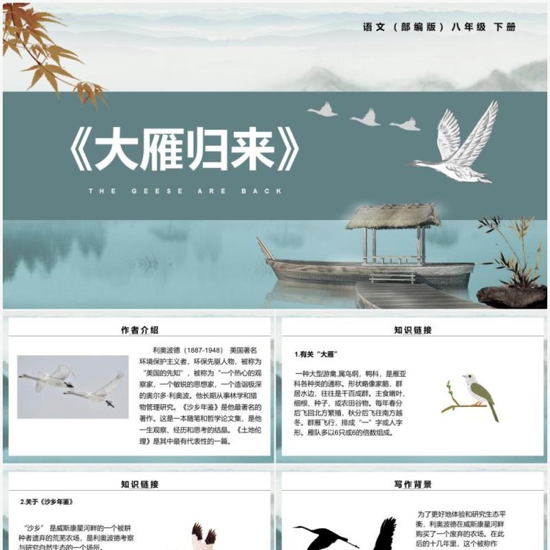 部编版八年级语文下册大雁归来课件PPT模板