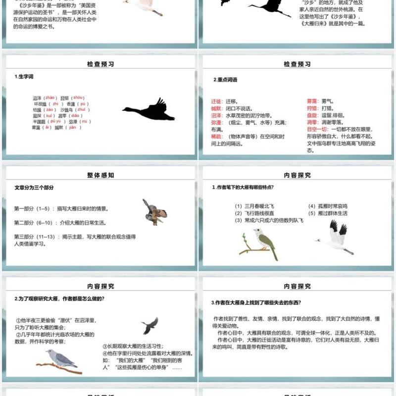 部编版八年级语文下册大雁归来课件PPT模板
