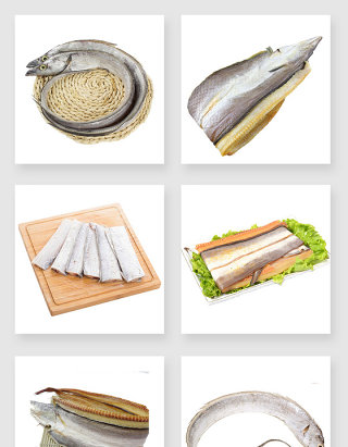 海产品带鱼设计素材