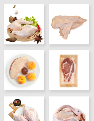 美味的鸭肉设计素材