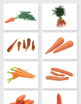 绿色纯天然味美胡萝卜免抠图设计素材