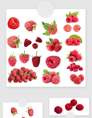 高清免抠树莓png素材
