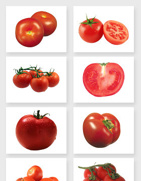 有营养健康的食材西红柿免抠图设计素材