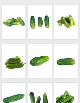 高清免抠黄瓜蔬菜素材