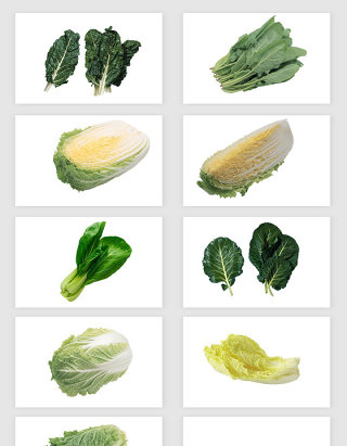 高清免抠蔬菜png素材