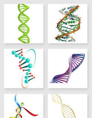 DNA分子设计元素