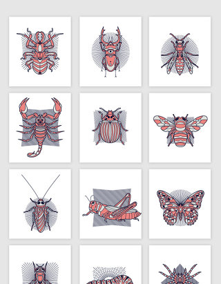 手绘动物昆虫装饰图案