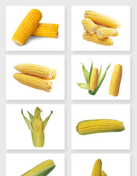 绿色纯天然味美新鲜玉米免抠图设计素材
