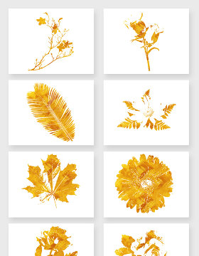 高清免抠创意金粉花卉植物