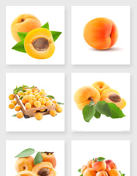 美味的黄桃设计素材合集