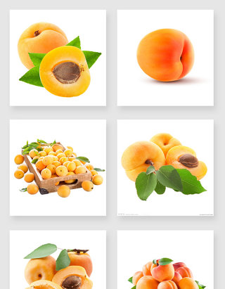 美味的黄桃设计素材合集