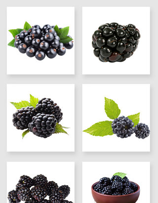 产品实物黑莓设计素材