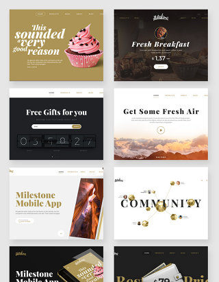 欧美风格高端网站UI界面设计PSD素材