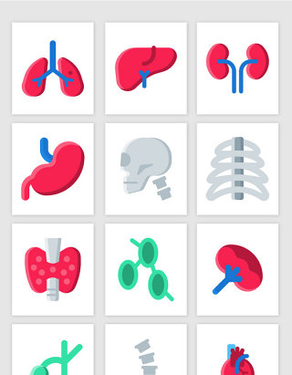 UI心肺内脏彩色小图标矢量图形