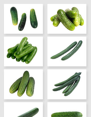 绿色纯天然味美新鲜黄瓜免抠图设计素材