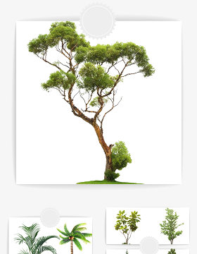 树木设计素材元素组