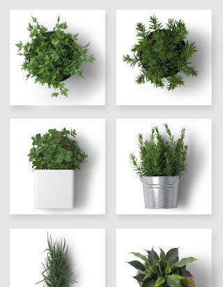 绿色盆栽植物装饰高清PSD素材