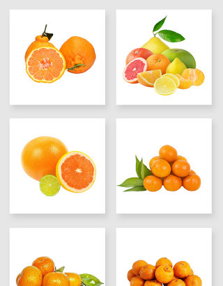 美味的柑橘设计元素