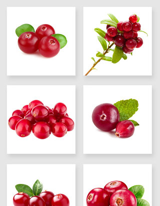 产品实物蔓越莓设计素材