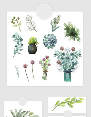 高清免抠手绘水彩彩绘植物