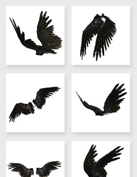 高清免抠黑色羽毛翅膀素材