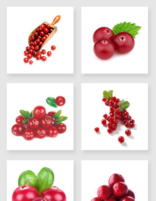 美味的蔓越莓设计元素