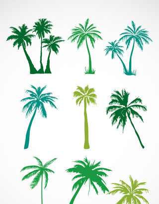 绿色椰子树矢量素材