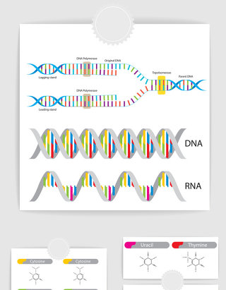 矢量基因DNA科学素材