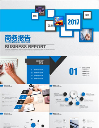 2017蓝色商务报告