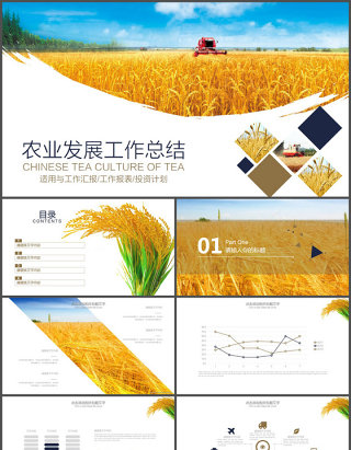 农产品农业发展工作总结PPT模板