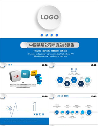 年度总结报告