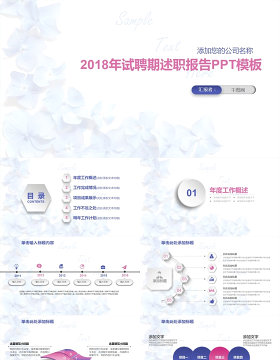 2018年试聘期述职报告PPT模板