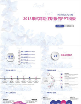 2018年试聘期述职报告PPT模板