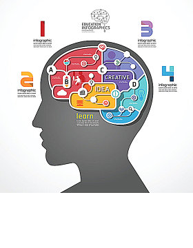 大脑思维图表