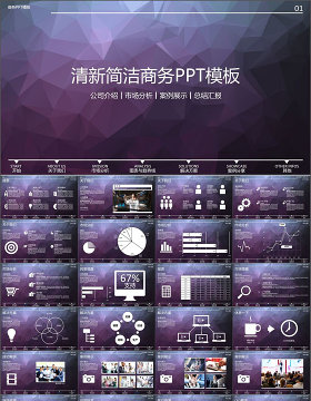 清新简洁企业介绍数据统计报告PPT模板